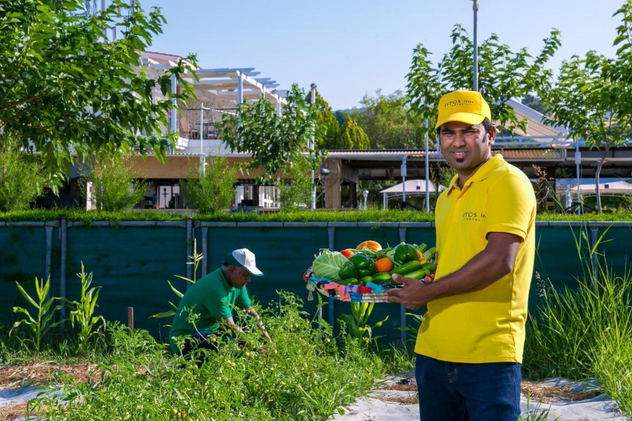 Fitosinn Hotel Geroskipou المظهر الخارجي الصورة